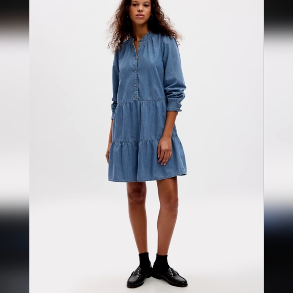 Fitzroy & Willa chambray dress